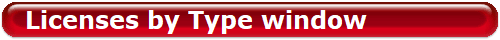 Licenses by Type window